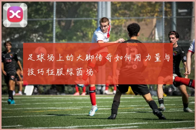 足球场上的大脚传奇如何用力量与技巧征服绿茵场