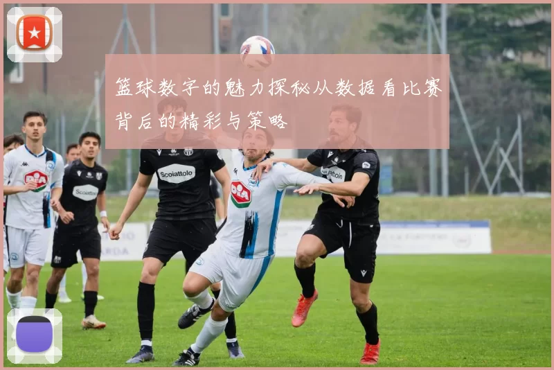 篮球数字的魅力探秘从数据看比赛背后的精彩与策略