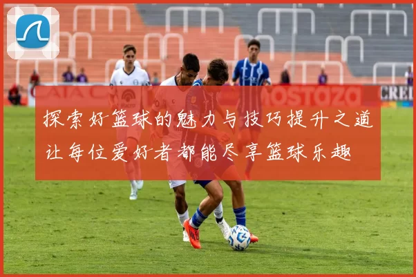 探索好篮球的魅力与技巧提升之道让每位爱好者都能尽享篮球乐趣