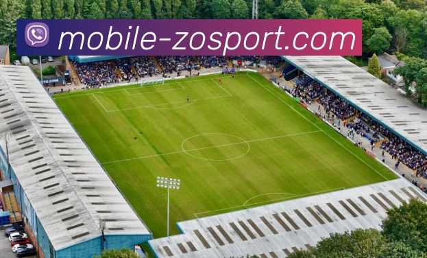 App Interface Preview